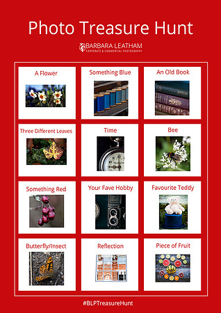Barbara Leatham Photography - Photo Treasure Hunt