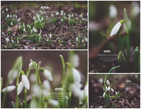 Spring 2018
