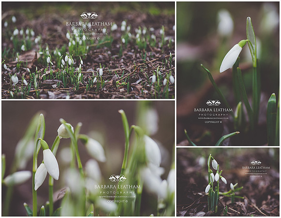 Spring 2018