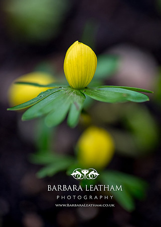 Spring 2018