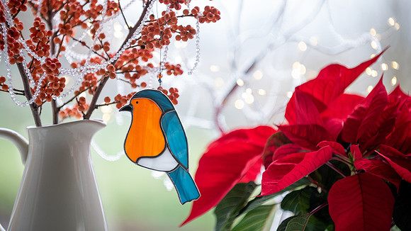 Seasonal themed photography (1)