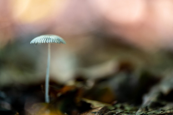 Photography lessons in Wiltshire