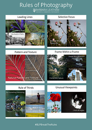 Barbara Leatham Photography - Rules Of Photo