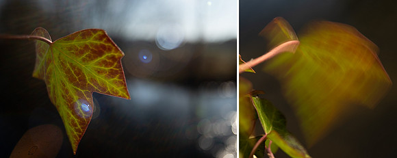 Photography Training in Wiltshire