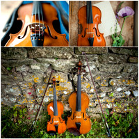 Business Branding Photography, Salisbury