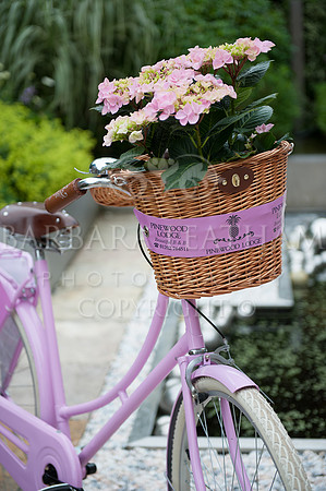 Commercial Shoot Pinewood Lodge, Poole, Dorset