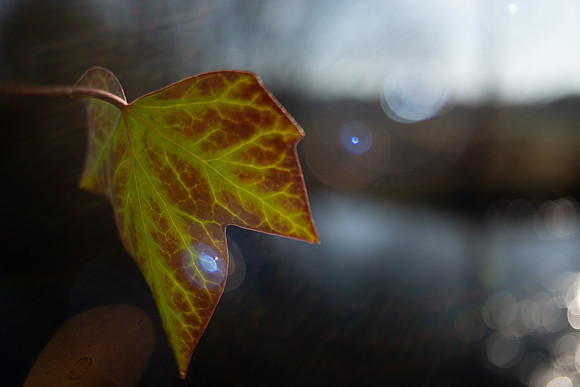 Wiltshire photography lessons