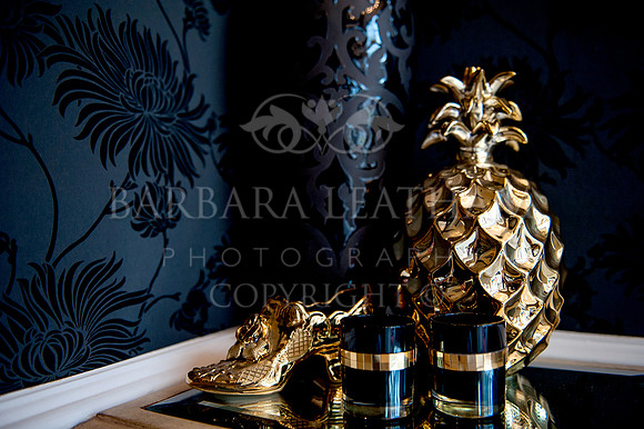 Commercial Shoot Pinewood Lodge, Poole, Dorset